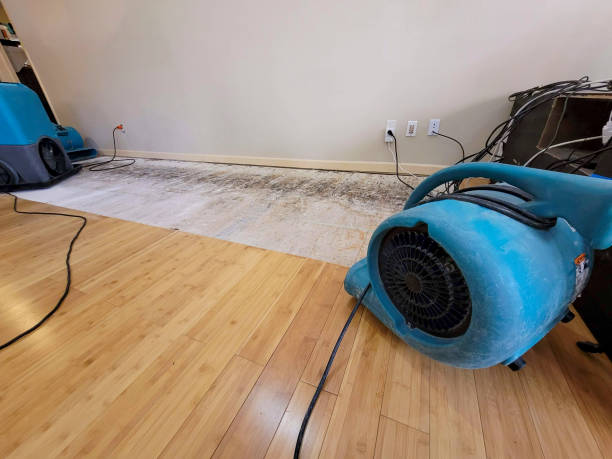 Professional Flood Damage Cleanup technician working in Cedarhurst, NY